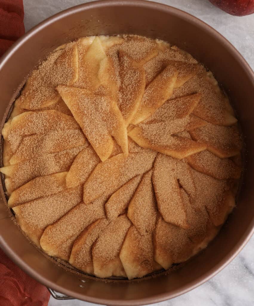 Apple layer with cinnamon sugar in the center of the apple coffee cake. 