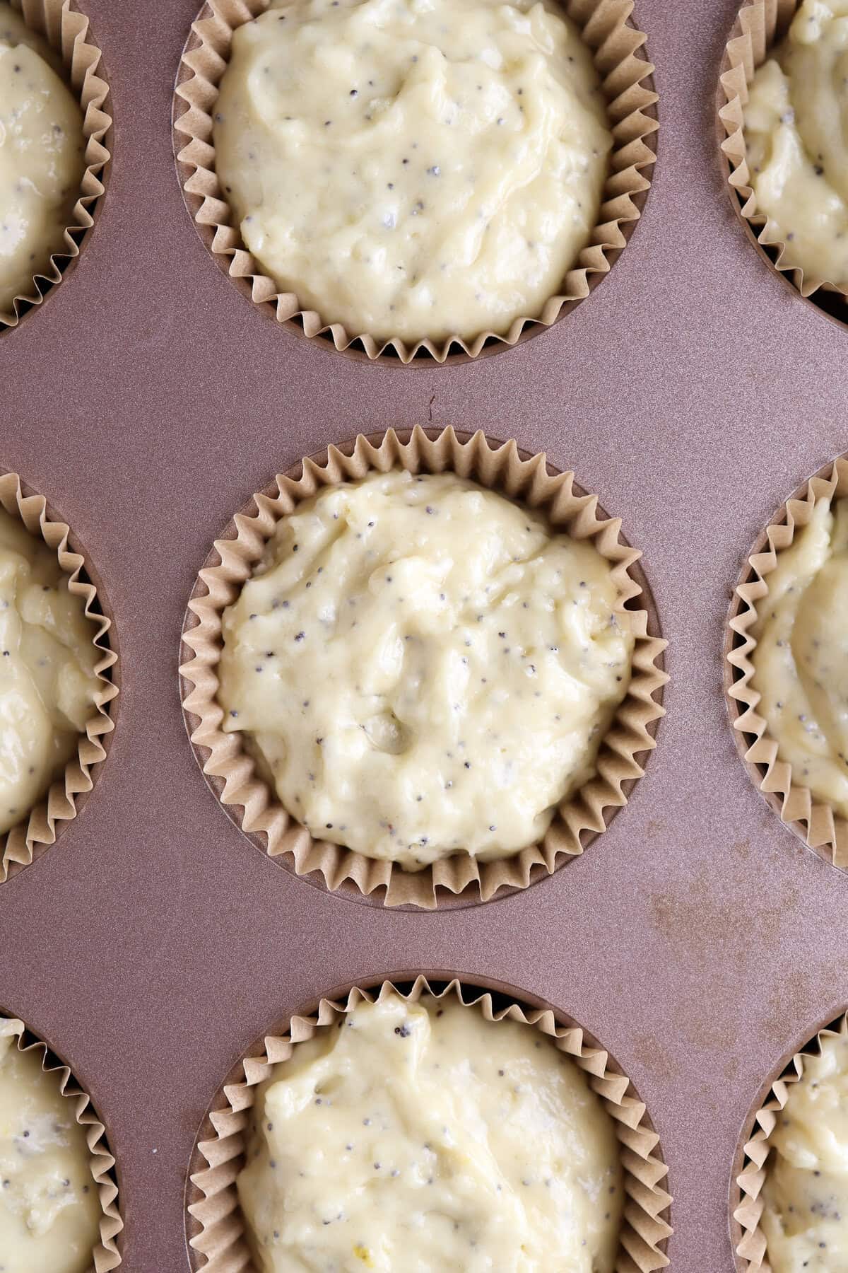 Lemon poppy seed batter in a muffin tin.