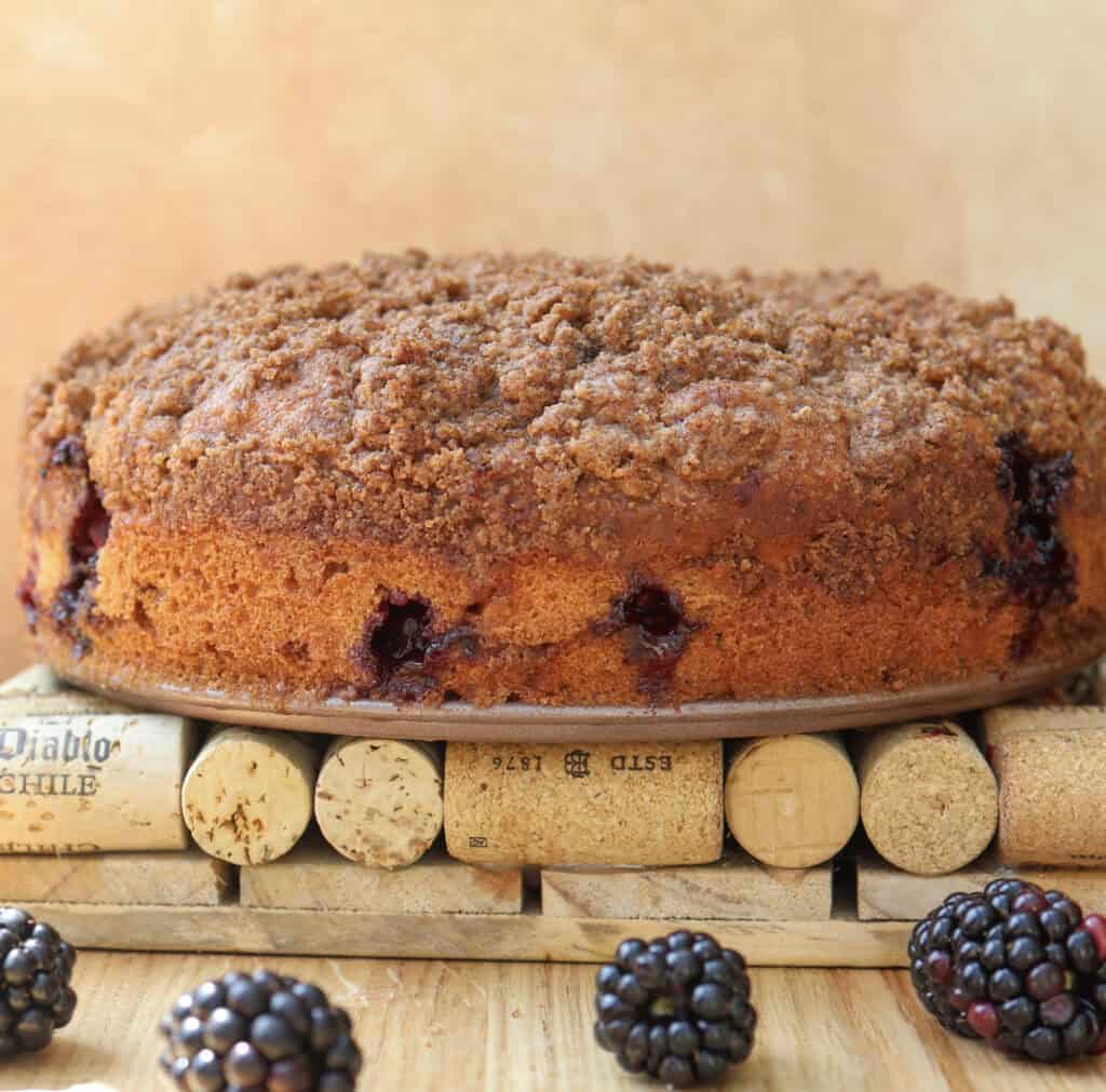 Blackberry coffee cake fresh from the oven on a hot pad.