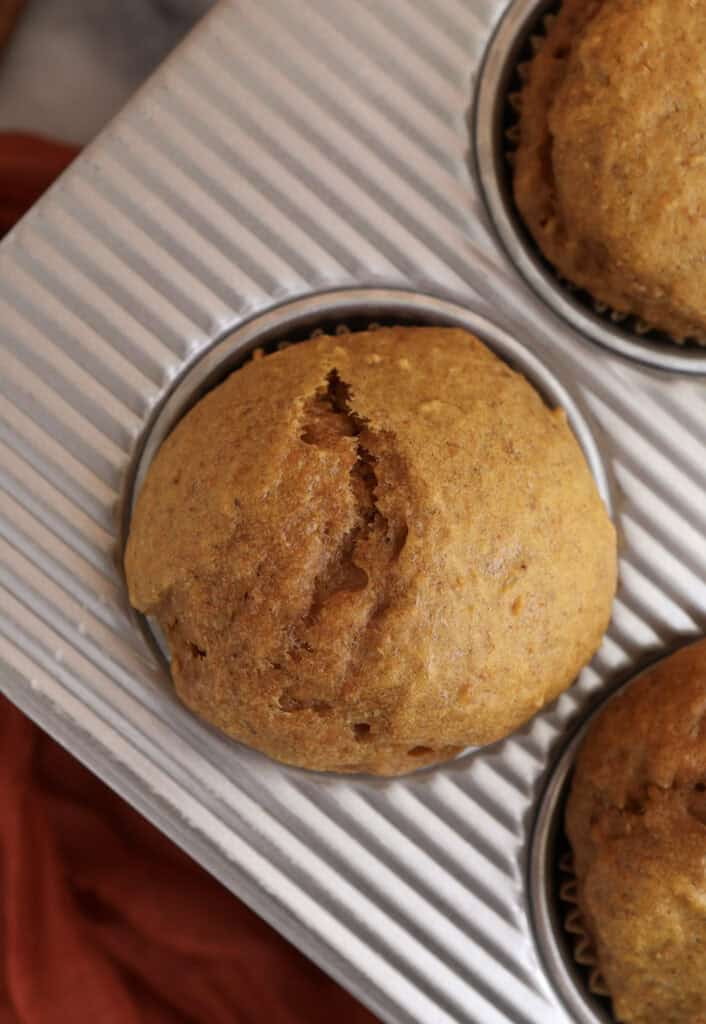 Up close of cottage cheese pumpkin muffin in muffin tin.